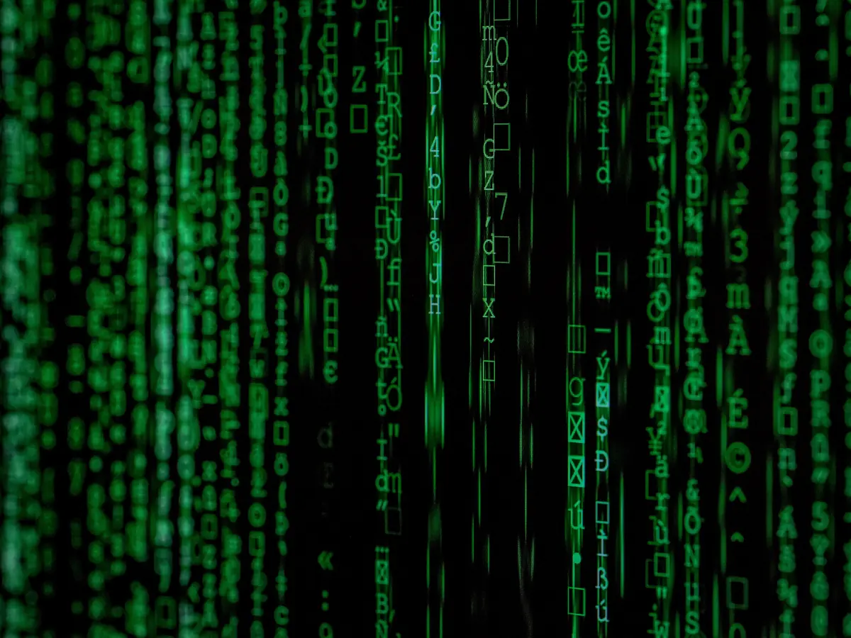 Colonnes de code vert sur fond noir